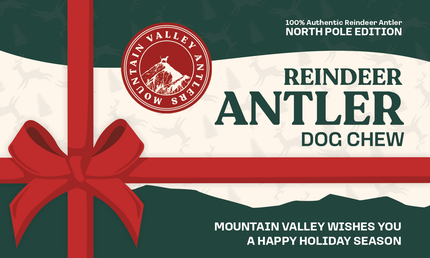 BLACK FRIDAY FREE GIFT: Reindeer Antler