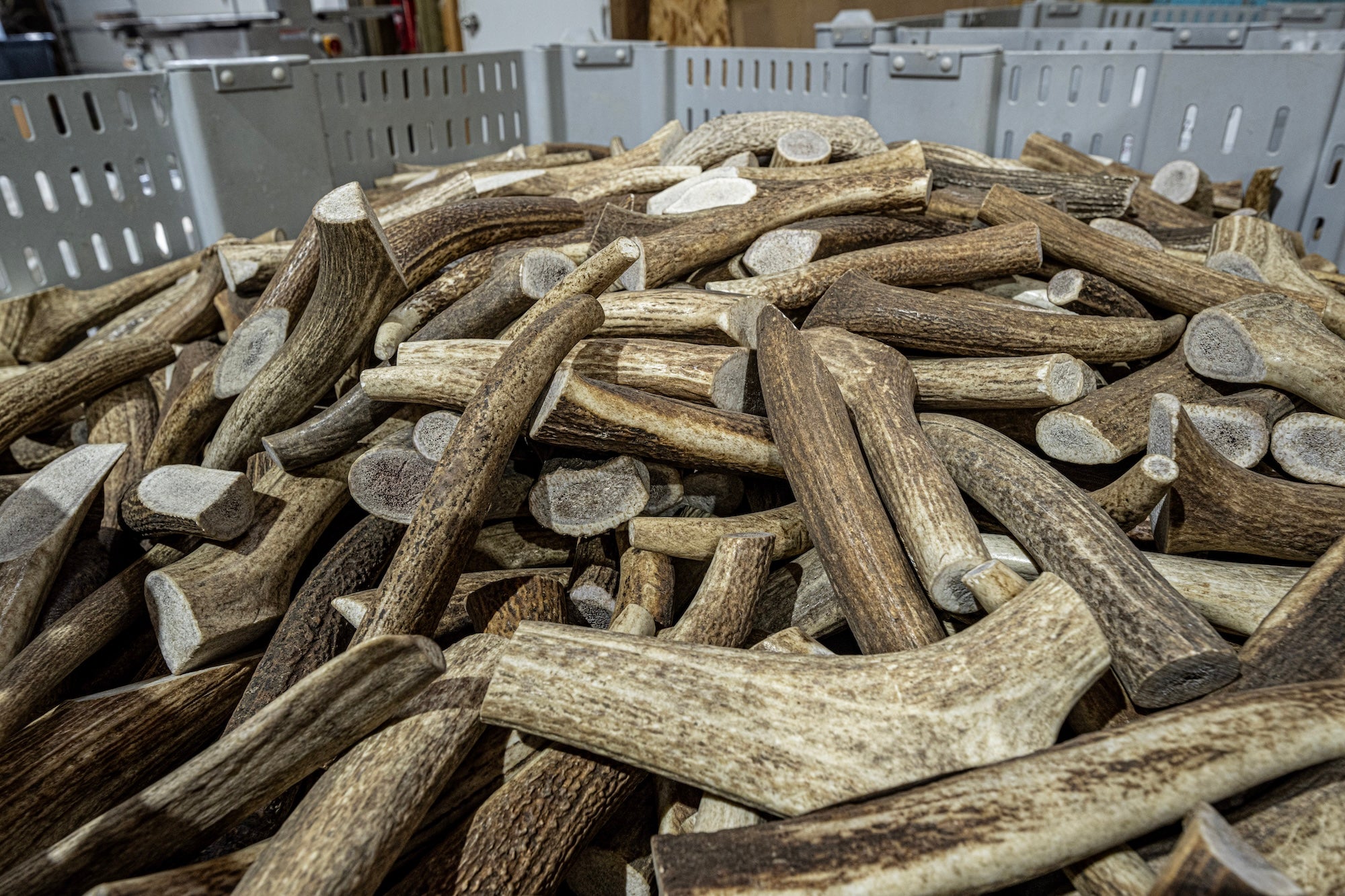 Mountain Valley Antlers keep your pup happy and healthy