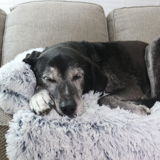 Chewing Reduces Anxiety