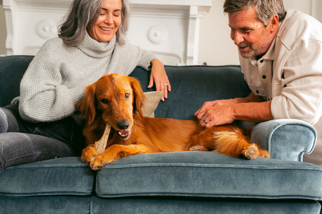 Antlers vs. Bones vs. Synthetic Chews: A Side-by-Side Comparison