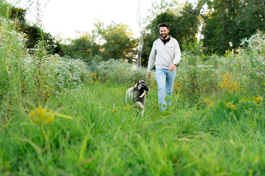 How to Introduce Antlers to a Dog That’s Never Chewed One