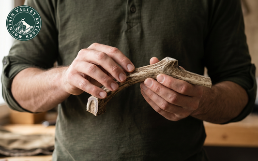 What to Look For When Buying Antlers Online (Red Flags and Green Flags)