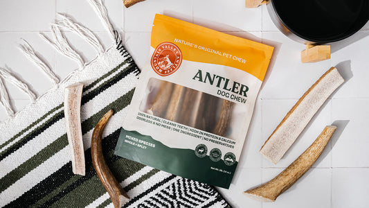 Antler Nutrition