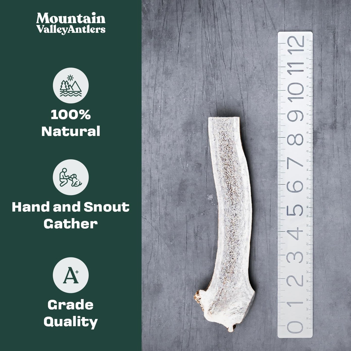 Elk Antler Split Chew