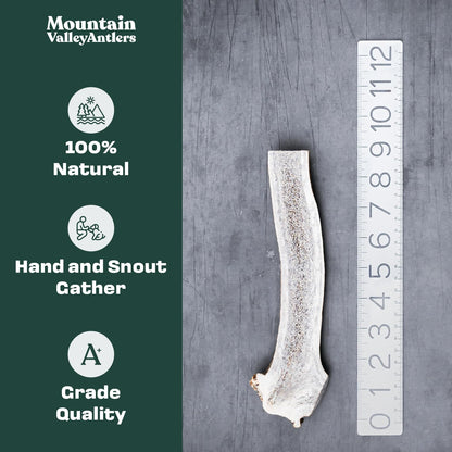 Elk Antler Split Chew