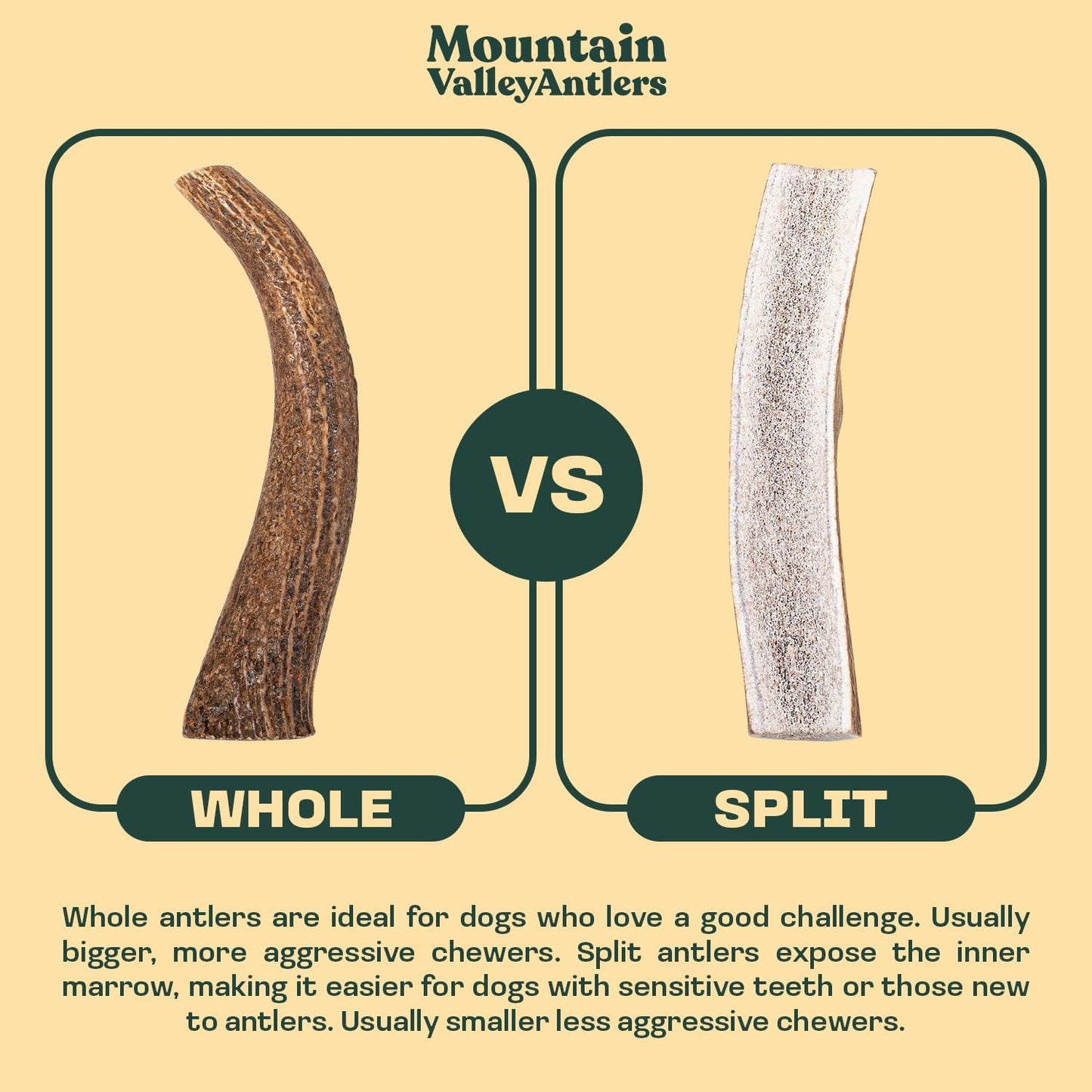 Elk Antler Whole Chew
