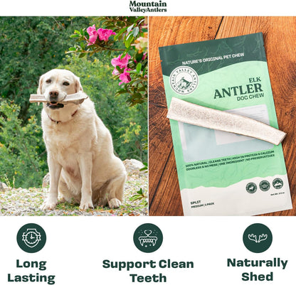 Elk Antler Split Chew