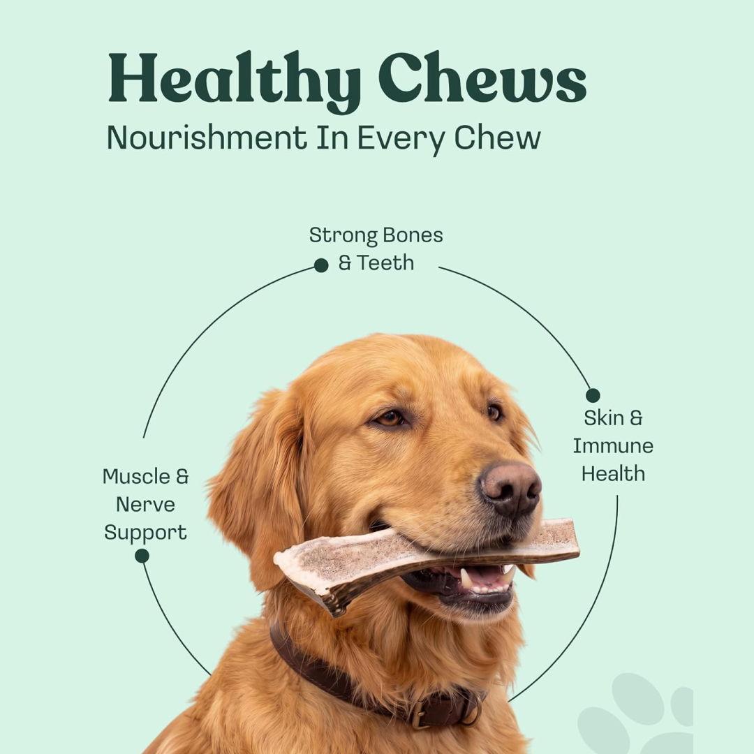 Elk Antler Split Chew