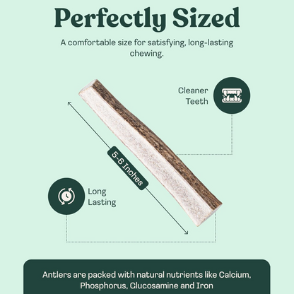 Elk Antler Split Chew