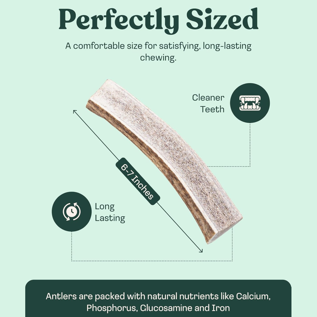 Elk Antler Split Chew