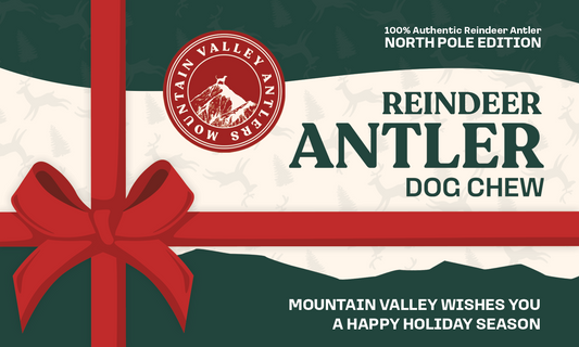 BLACK FRIDAY FREE GIFT: Reindeer Antler