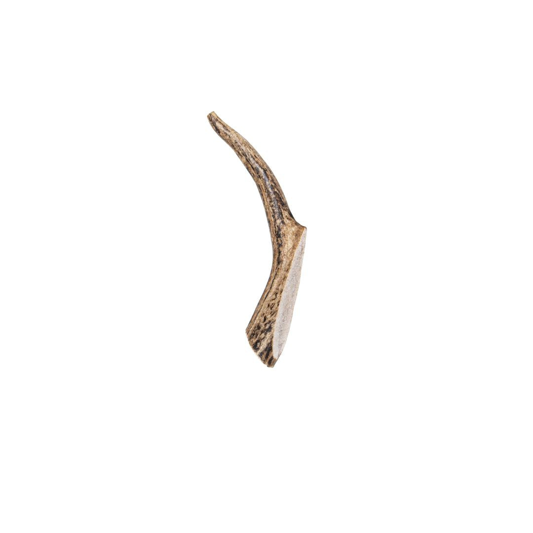 FREE Antler Chew (1-Pack)