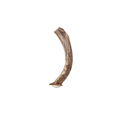 Deer Antler Whole Chew