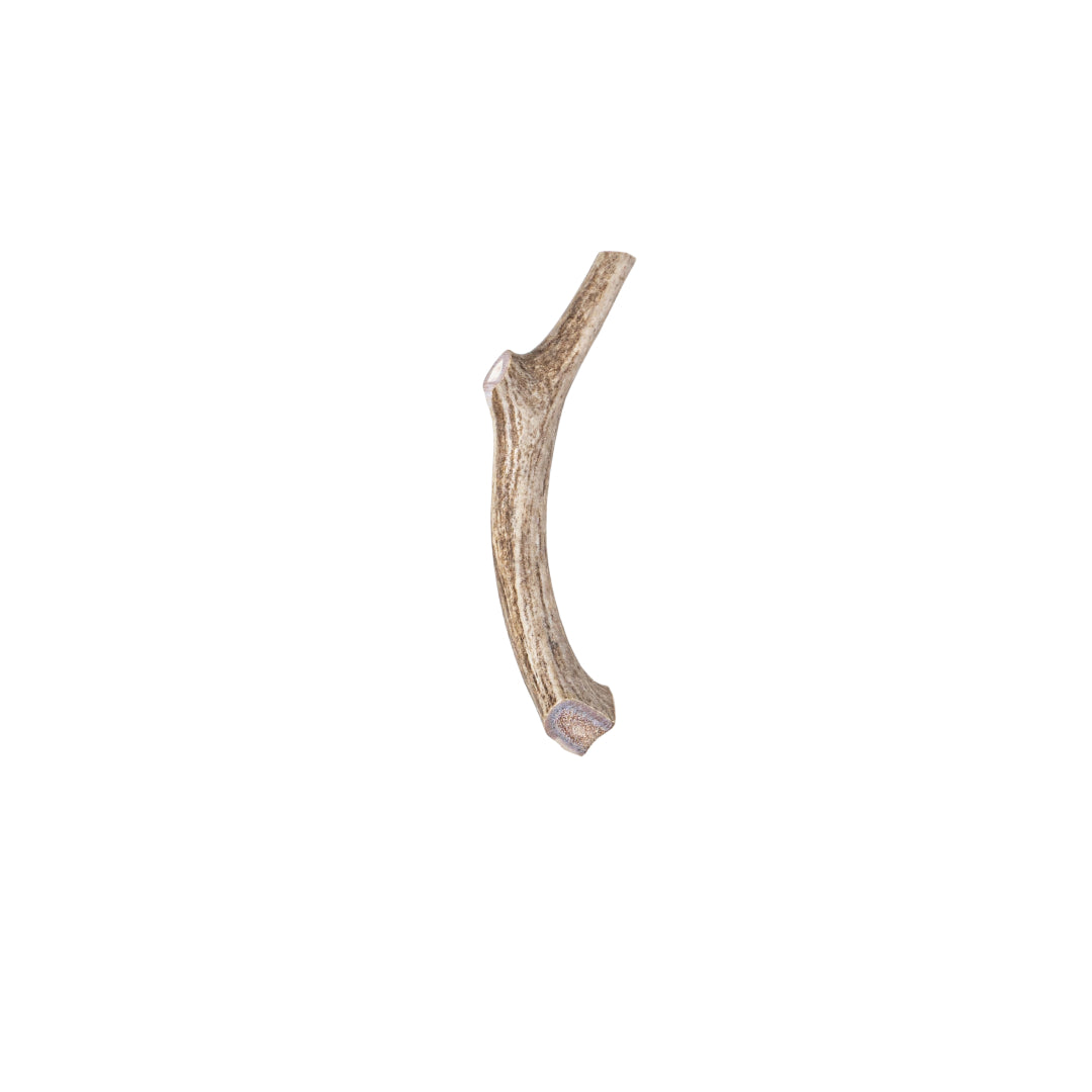 Deer Antler Whole Chew