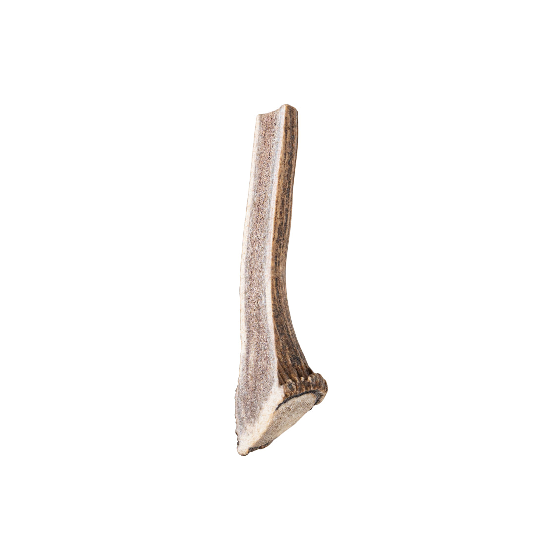 Elk Antler Split Chew