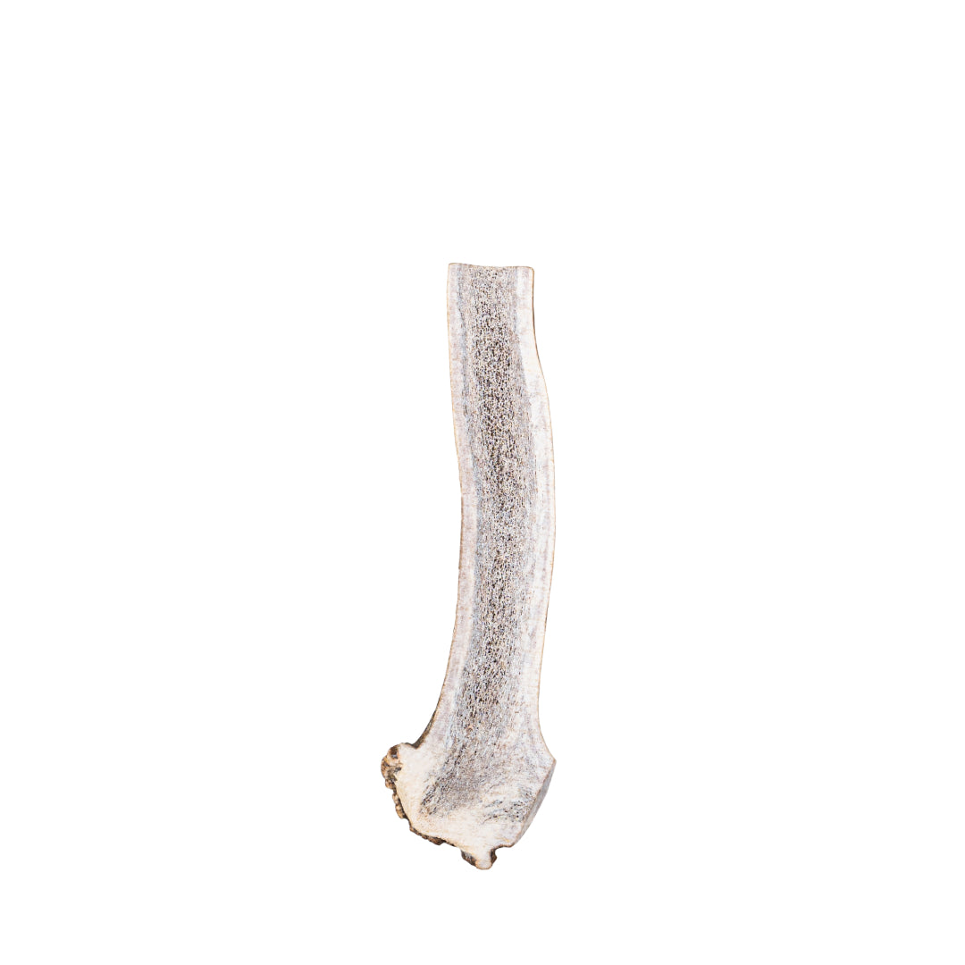 Elk Antler Split Chew