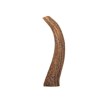 Elk Antler Whole Chew