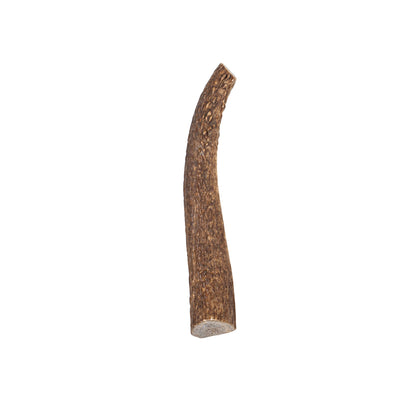 Elk Antler Whole Chew