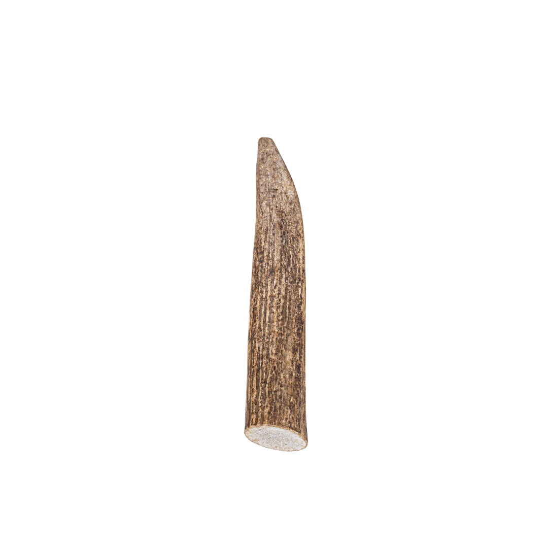 Elk Antler Whole Chew