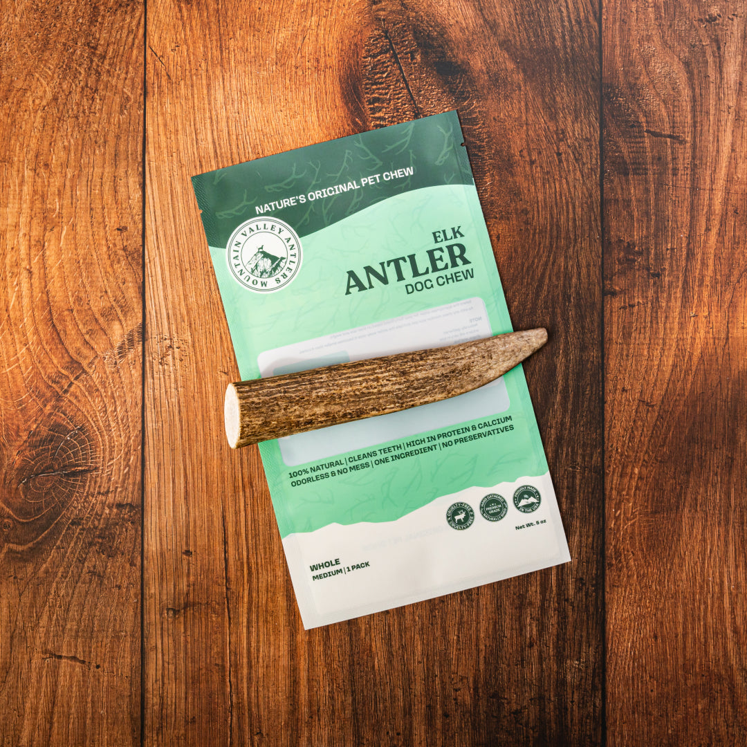 Elk Antler Whole Chew