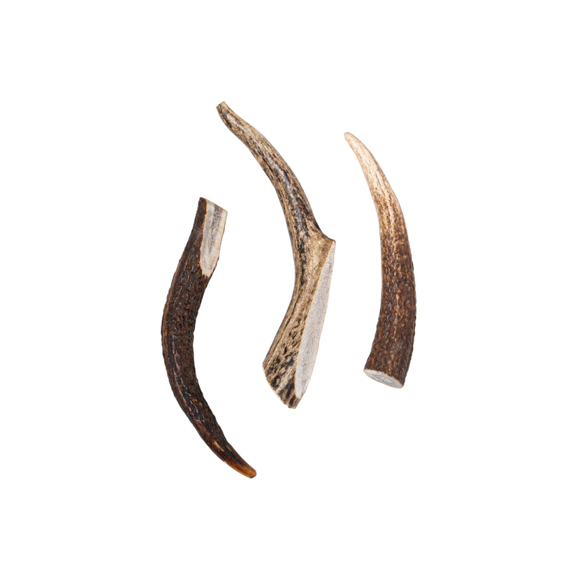Elk Antler Whole Chew – Mountain Valley Antlers