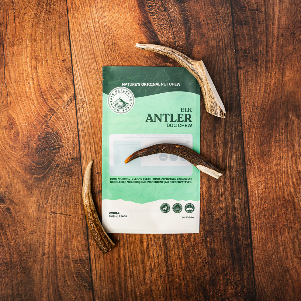 One LARGE Elk Deer Antler Dog Chews Deer Chew Bully Stick - MEDIUM INNER CORE One LARGE Elk Deer Antler Dog Chews Deer Chew Bully Stick - MEDIUM INNER CORE