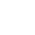 Elk Antlers
