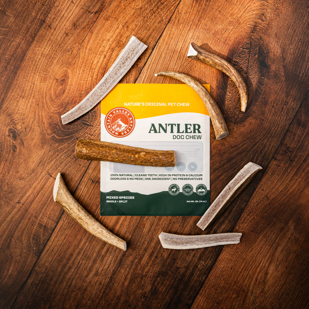 Mixed Deer Antler Pack