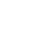 Moose Antlers